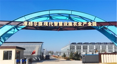準格爾旗現代智慧設施農業(yè)產業(yè)園