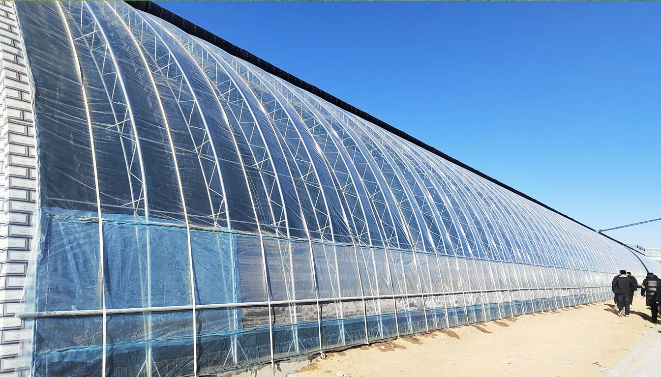 大路鎮(zhèn)苗家灘社區(qū)項目-智能溫室、日光溫室建設項目_08.jpg