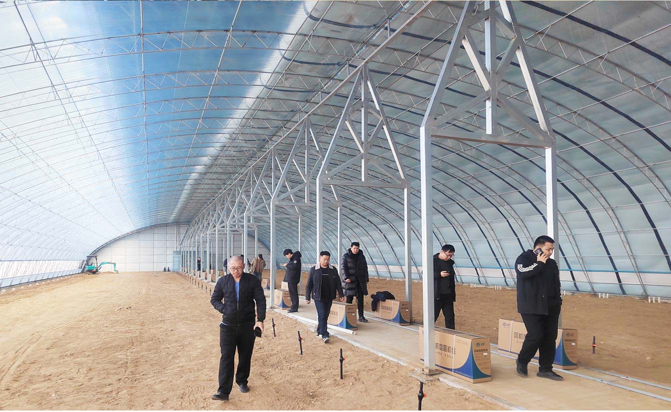 大路鎮(zhèn)苗家灘社區(qū)項目-智能溫室、日光溫室建設項目_09.jpg