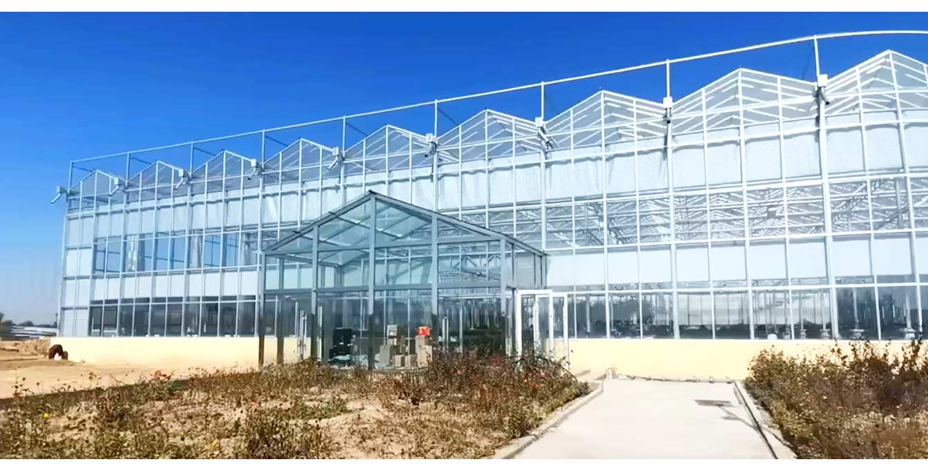 大路鎮(zhèn)苗家灘社區(qū)項目-智能溫室、日光溫室建設項目_13.jpg