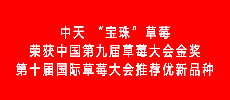 草莓1920網(wǎng)50像素2025年3月12日網(wǎng)頁(yè)_01.jpg 草莓1920網(wǎng)50像素2025年3月12日網(wǎng)頁(yè)_01.jpg