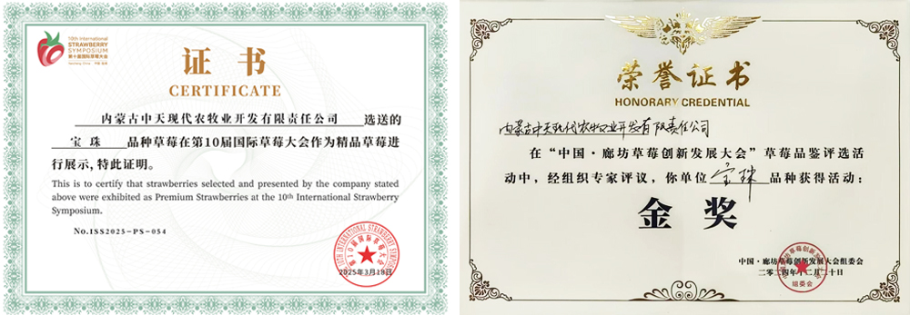 第10屆國際草大會作為精品草莓進(jìn)行展示切.jpg
