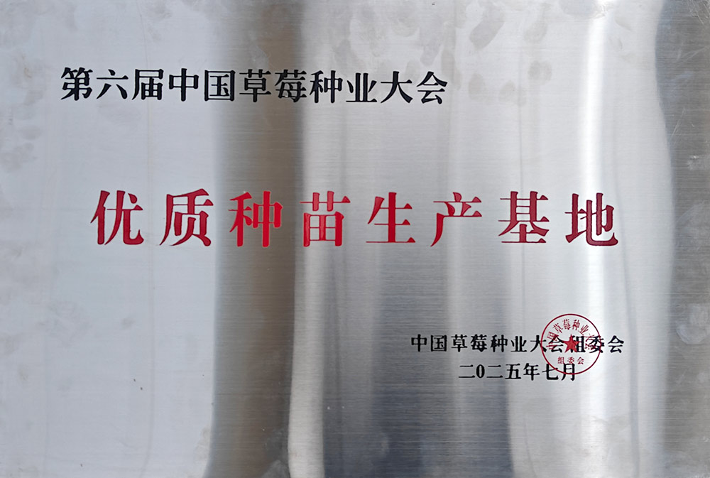 第六屆中國(guó)草莓種業(yè)大會(huì)優(yōu)質(zhì)種苗生產(chǎn)基地切.jpg 第六屆中國(guó)草莓種業(yè)大會(huì)優(yōu)質(zhì)種苗生產(chǎn)基地切.jpg